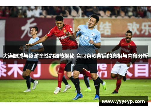 大连鲲城与穆谢奎签约细节揭秘 合同条款背后的真相与内幕分析