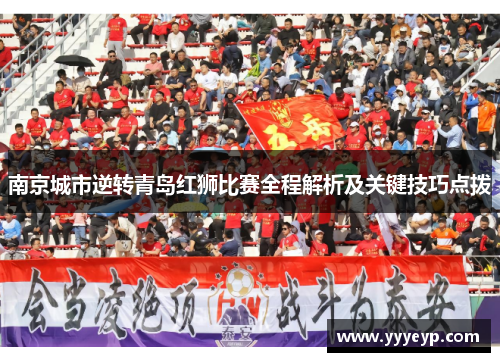 南京城市逆转青岛红狮比赛全程解析及关键技巧点拨