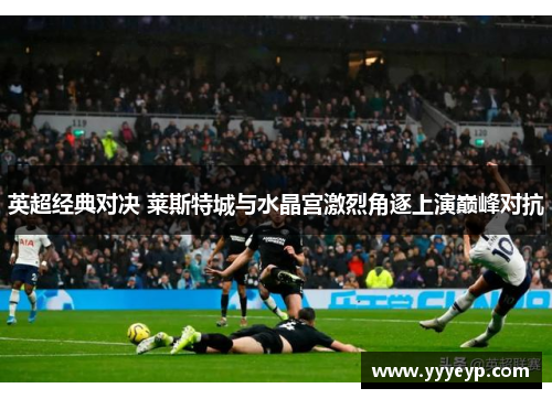 英超经典对决 莱斯特城与水晶宫激烈角逐上演巅峰对抗